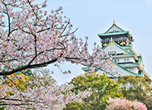 星空体育官方网站-中日韩明年亚冠队仅1席未出炉 横滨首尔重返亚冠
